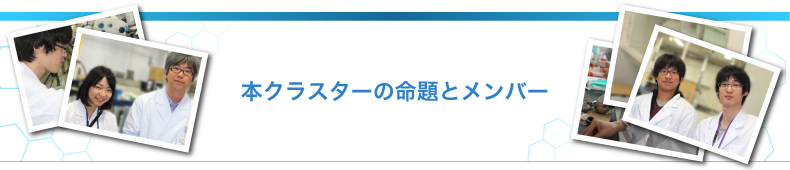 本クラスターの命題とメンバー