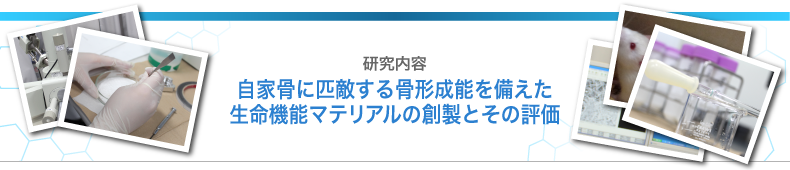 研究内容　自家骨に匹敵する骨形成能を備えた生命機能マテリアルの創製とその評価