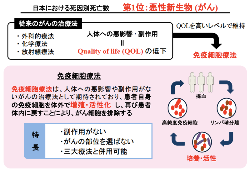 生命機能マテリアル国際インスティテュート