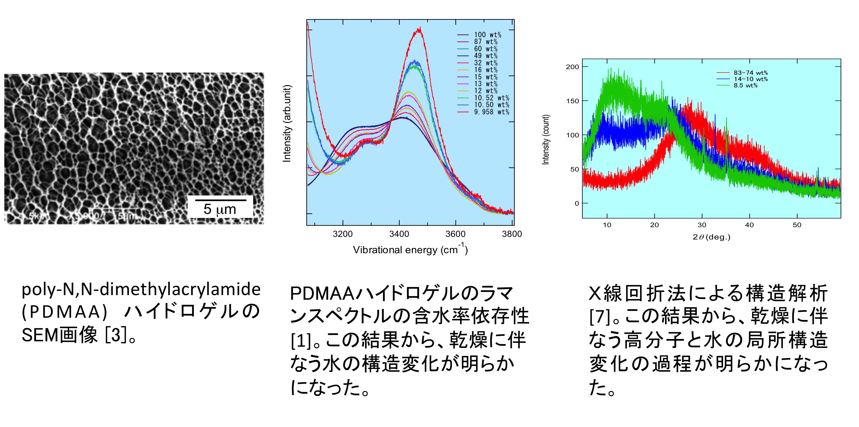 サンプルイメージ