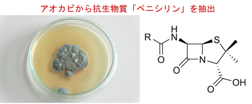 “医薬品の歴史"