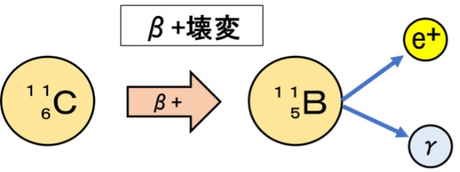 “重量と質量の解明の歴史"