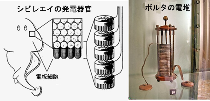 “電気と磁気の解明の歴史"