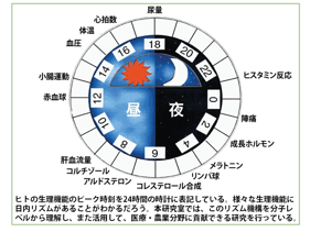 リズム機構