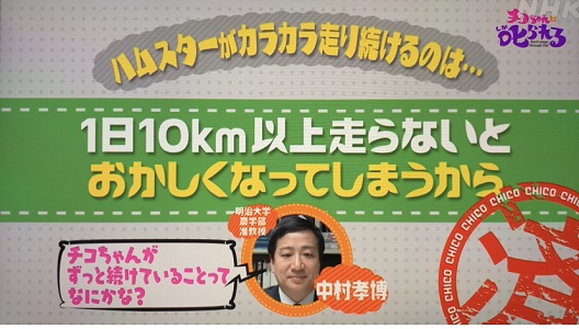 NHK「チコちゃんに叱られる」の中村先生