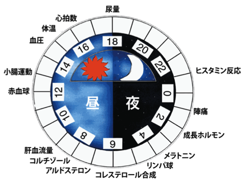 リズム機構