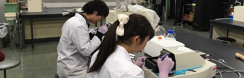 動物生理学研究室での実験風景