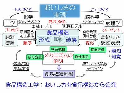 研究内容