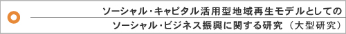 ソーシャル・キャピタル活用型地域再生モデルとしてのソーシャル・ビジネス振興に関する研究