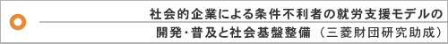 社会的企業による条件不利者の就労支援モデルの開発・普及と社会基盤整備
