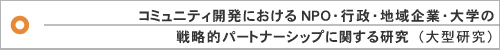 コミュニティ開発におけるＮＰＯ・行政・地域企業・大学の戦略的パートナーシップに関する研究