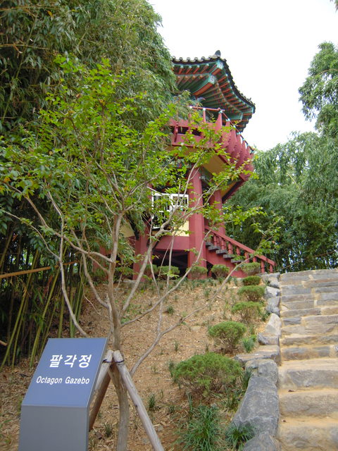 DSCN0166.JPG