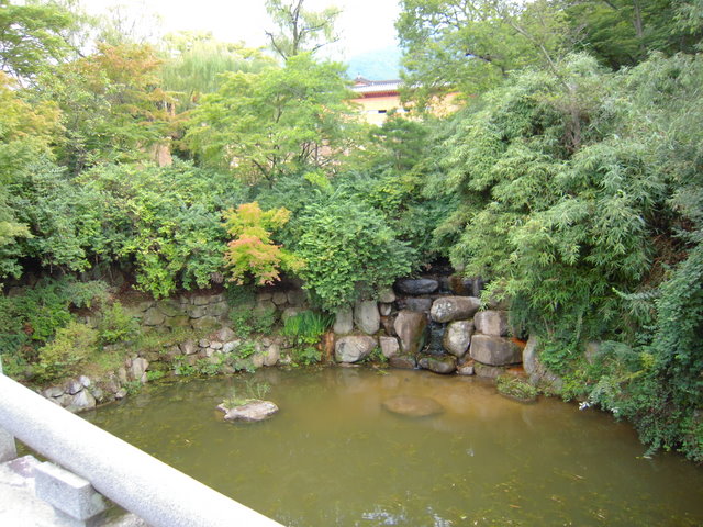 DSCN0194.JPG
