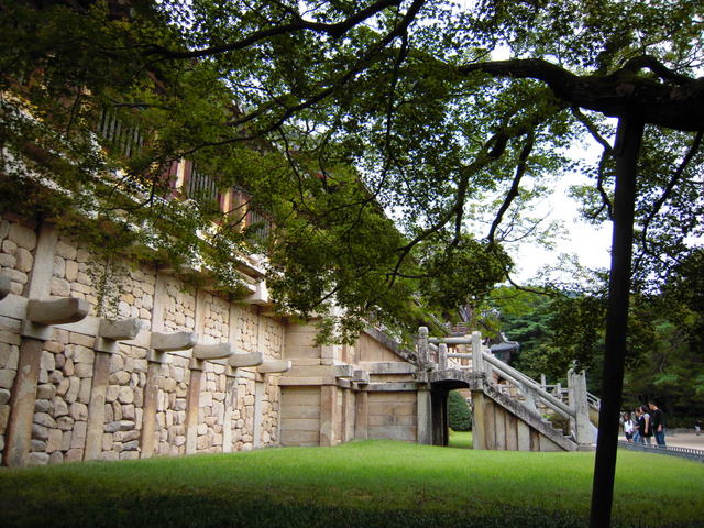 DSCN0207.JPG