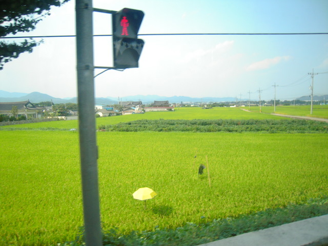 DSCN0230.JPG
