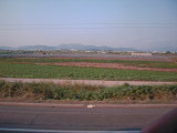 img0006.jpg