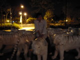 img0013.jpg