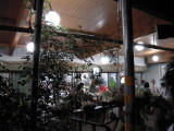 img0061.jpg