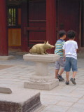 img0075.jpg