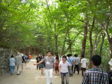 img0085.jpg