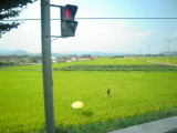img0094.jpg