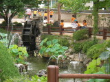 img0062.jpg