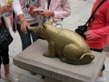 img0171.jpg