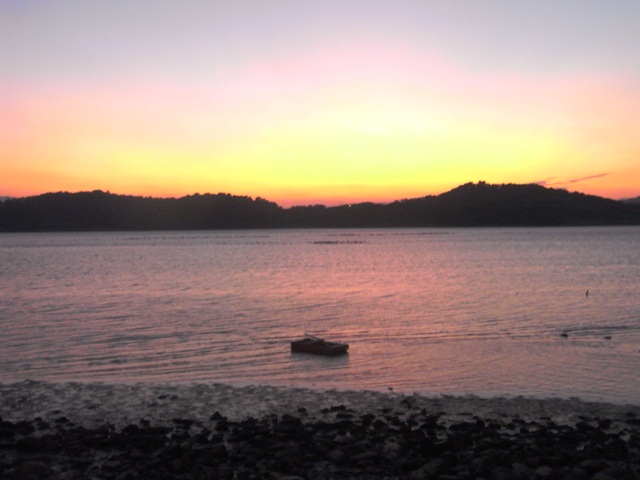 RIMG0695.JPG