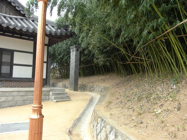 RIMG0762.JPG