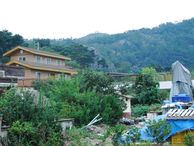 RIMG0796.JPG