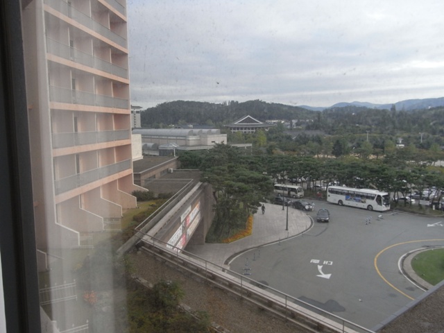 RIMG0813.JPG