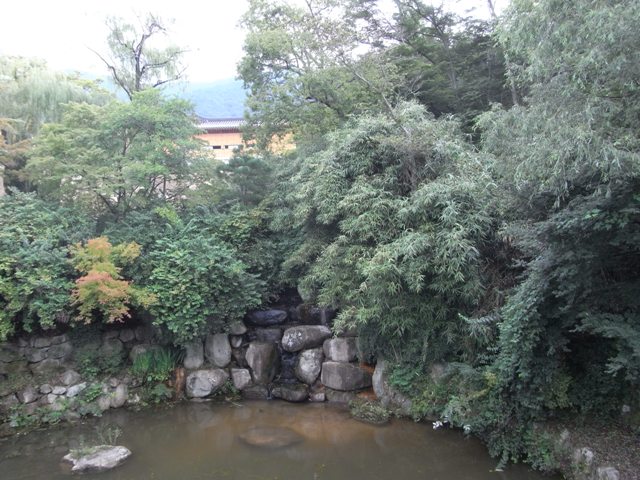 RIMG0817.JPG