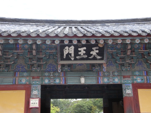 RIMG0819.JPG