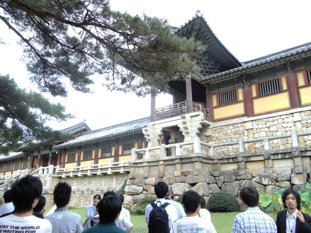 RIMG0823.JPG