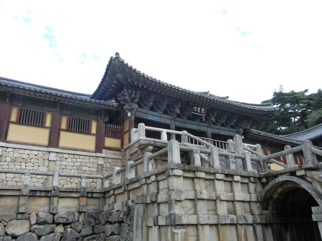 RIMG0824.JPG