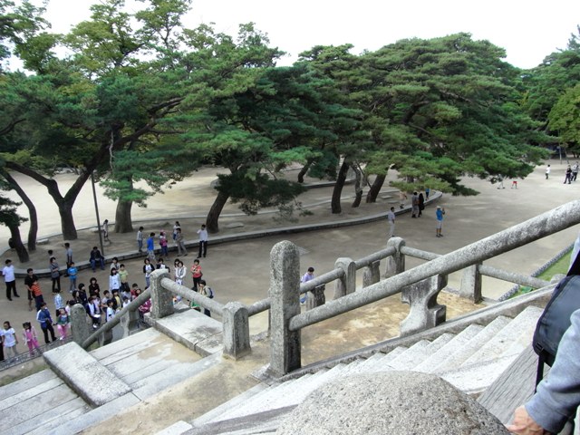 RIMG0829.JPG