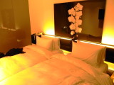 img0003.jpg