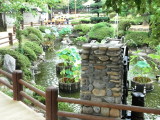 img0059.jpg