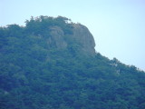 img0077.jpg
