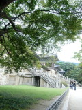 img0116.jpg