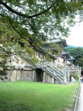 img0117.jpg