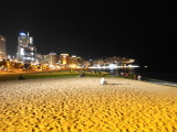 img0151.jpg