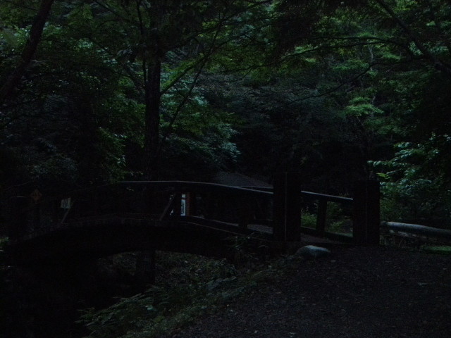 img0060.jpg