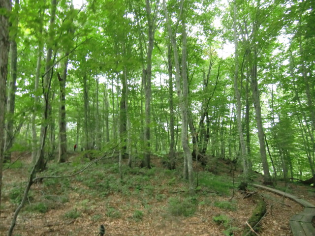 img0033.jpg
