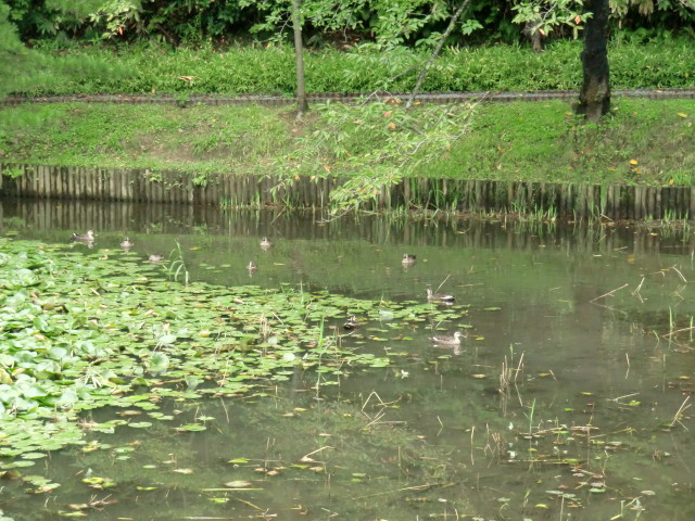 img0096.jpg