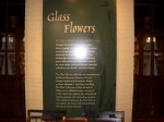 [CIMG0088.JPG]