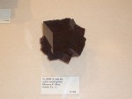 [CIMG0104.JPG]