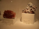 [CIMG0111.JPG]