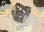 [CIMG0113.JPG]