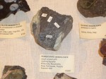 [CIMG0114.JPG]